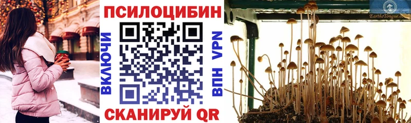 Псилоцибиновые грибы мицелий Малгобек